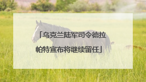 乌克兰陆军司令德拉帕特宣布将继续留任